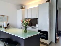Scotts Square (D9), Apartment #573875511